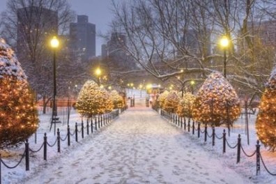 a close up of a snow covered park